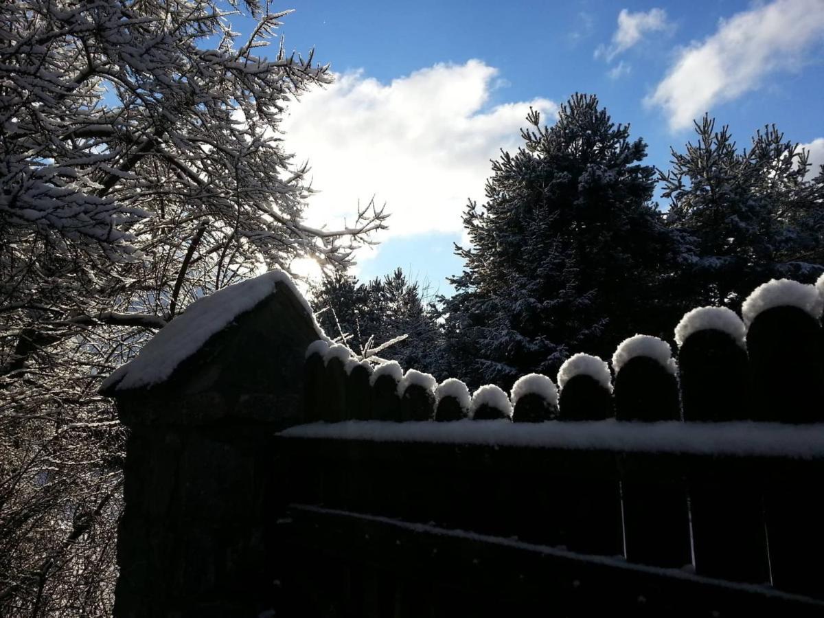 Apartamento Cztery Pory Warmii Pluski Pokoje Do Wynajecia Exterior foto