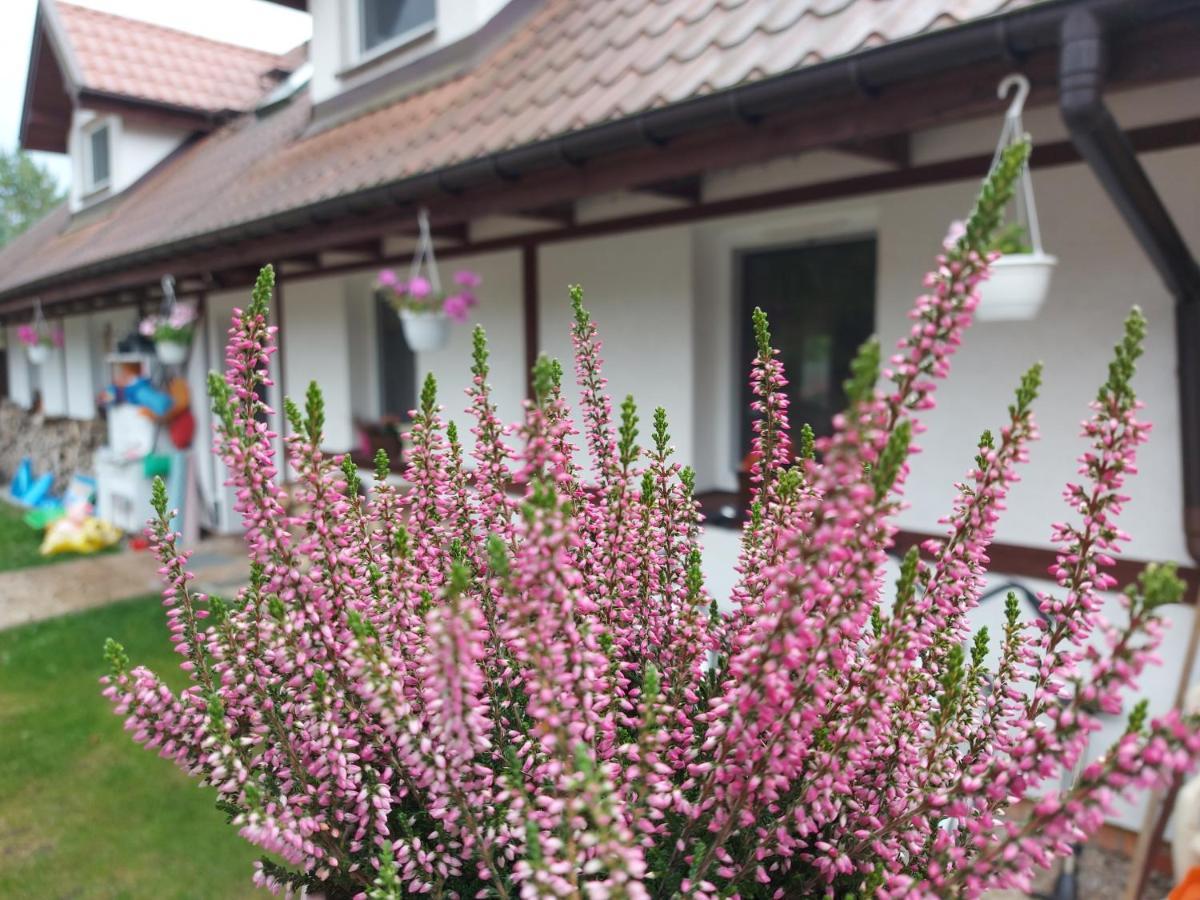 Apartamento Cztery Pory Warmii Pluski Pokoje Do Wynajecia Exterior foto