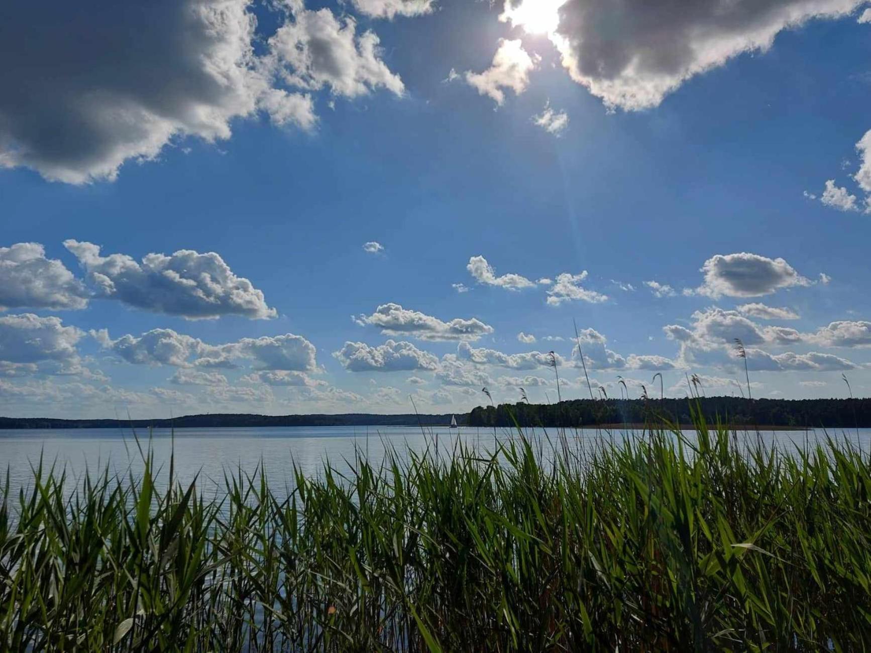 Apartamento Cztery Pory Warmii Pluski Pokoje Do Wynajecia Exterior foto